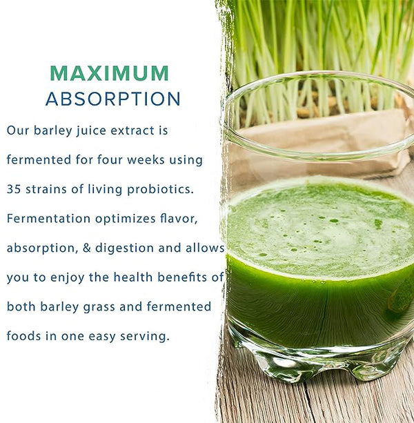 HelloYoung HelloYoung Imported Unsweetened Premium Organic Barley Grass 100% Pure&Natural Nutritionally Complete Mix into Smoothie or Juice