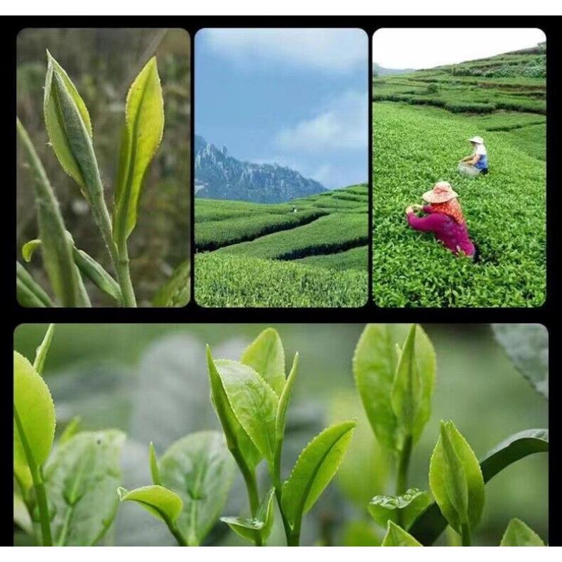 100g Fuding White Tea Old Shoumei Aged Jujube Herbal White Tea Small Cake