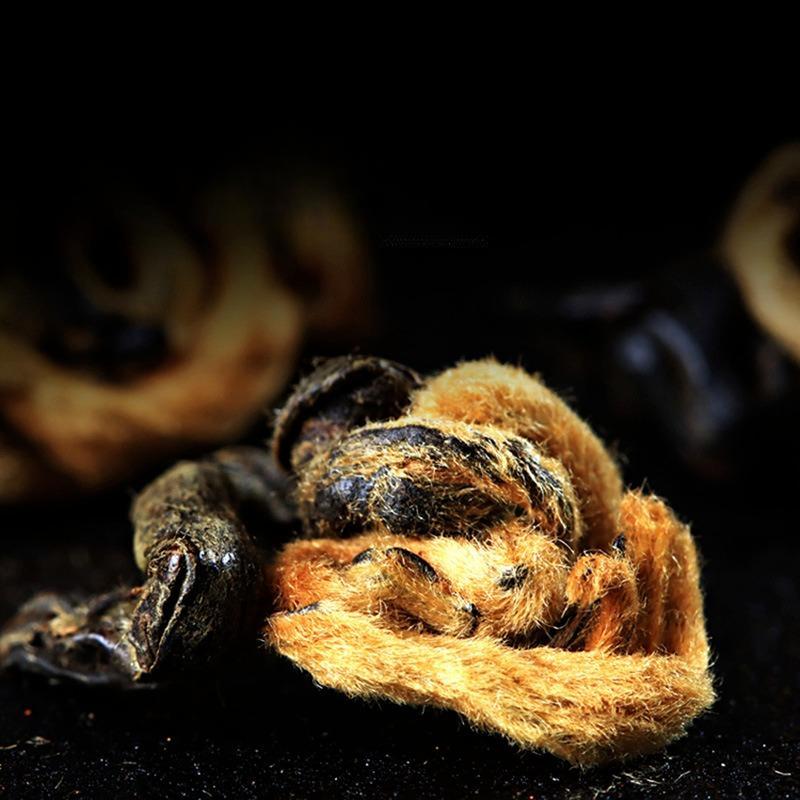 HelloYoungTea 500g Yunnan Ancient Black Tea Golden Silk Golden Snail Fengqing Dian Hong Tea