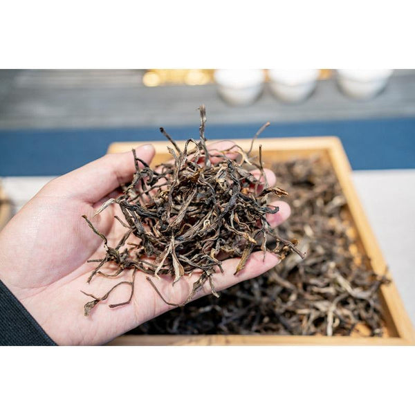 HelloYoungTea 500g Knowing Over Ancient Puerh Raw Tea Honey Scented Orchid Scented Green Tea