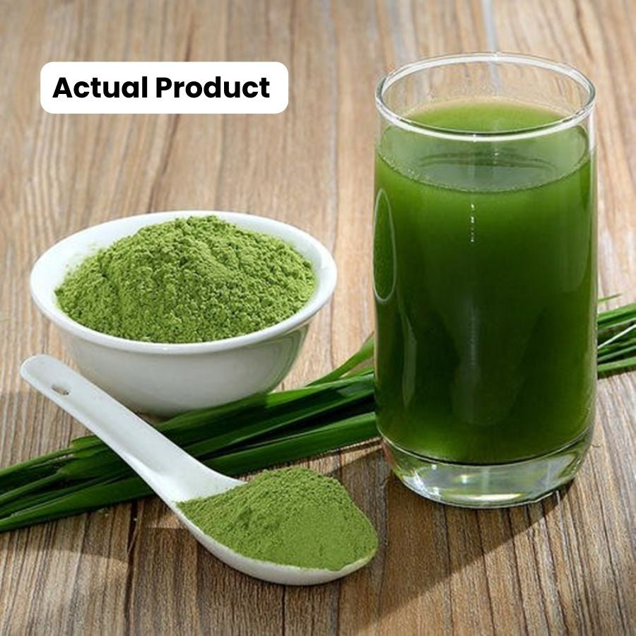 HelloYoung Barley Grass Powder 100% Pure & Organic Organic Barley Grass Powder Pure Organic Barley for Women and Men 250g Contains Iron Vitamin C, & Vitamin E – Non-GMO
