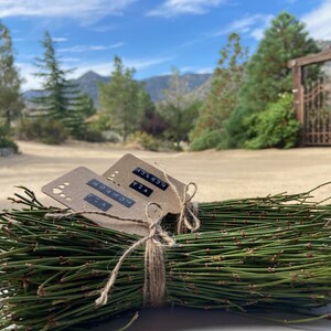 HelloYoung Mormon Tea ~ Wild foraged in the Mojave Desert Mountains Mahuang Tea 250g