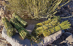 HelloYoung Mormon tea Mahuang Canutillo tea dry cut or roasted.