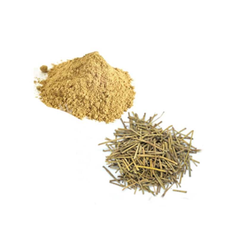 HelloYoung Somlata Powder, Somlata churna, Gerard Jointfir Ain Khanta, Ephidra Girardiana, Somlata, Soma Gerardiana Main image