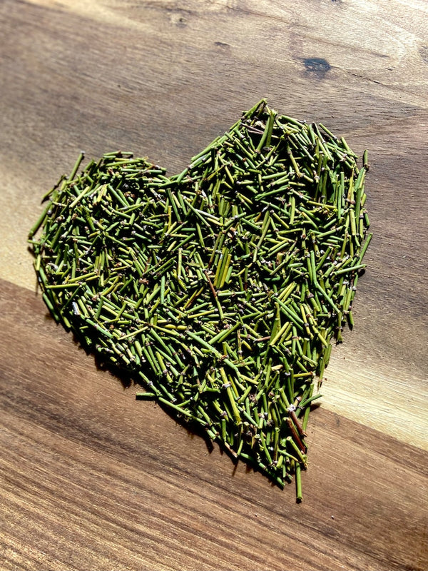 HelloYoung Mormon Tea ~ Wild foraged in the Mojave Desert Mountains Mahuang Tea 250g