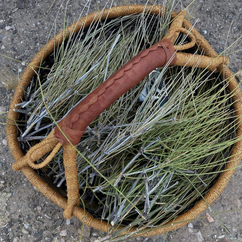 HelloYoung Mormon Tea, Jointfir Ain Khanta | Ephidra Girardiana