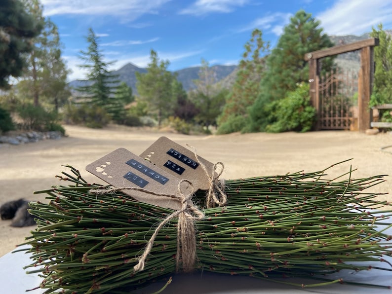 HelloYoung Mormon Tea ~ Wild foraged in the Mojave Desert Mountains Mahuang Tea 250g Main image