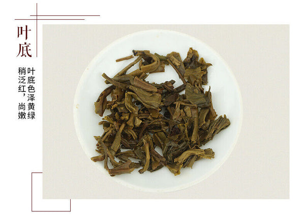 HelloYoung Wei Zui Yan * Taetea Menghai Pu-erh Dayi Puer Tea Classic Raw Pu'er 357g