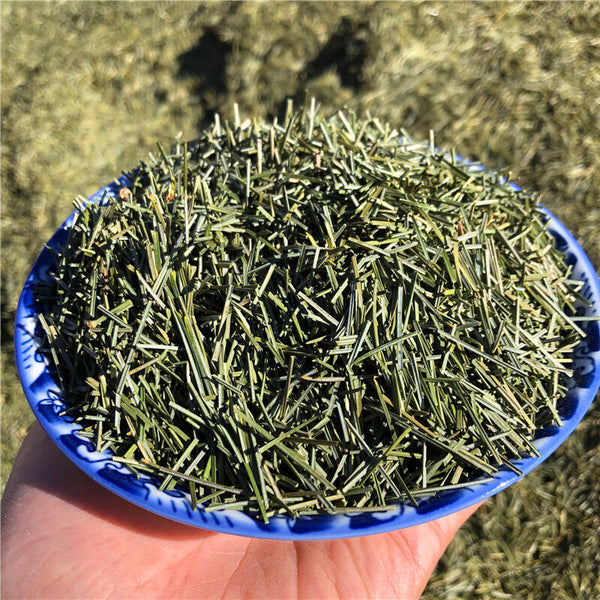 HelloYoung Organic Dried Pine Needle Tea Premium Red Pine Needles Loose Leaf Herbal Tea