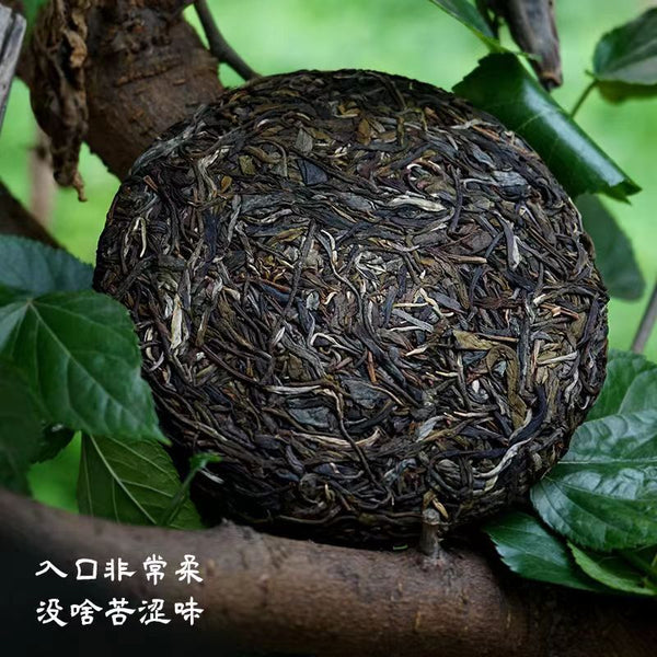 HelloYoung Pu-erh Shengcha Natural Pu'er Green Tea 200g Yiwu Puerh Tea Cake Luoshuidong