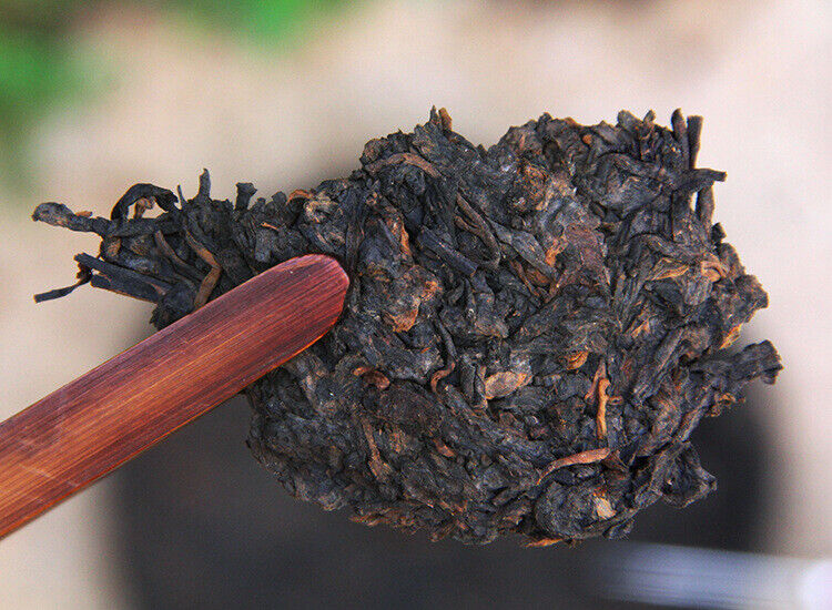 HelloYoung Chen Xiang Jujube Fragrant Yunnan Longsheng Puerh Tea 0638 Ripe Puer 357g