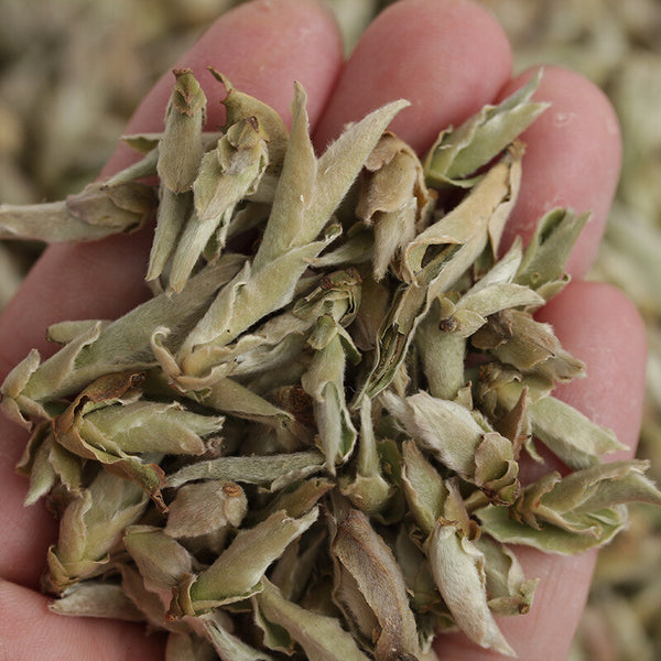 YABAO Bai Ya Bao Shen Puerh Loose Leaf Yunnan White Buds Pu-erh Tea Raw Puer