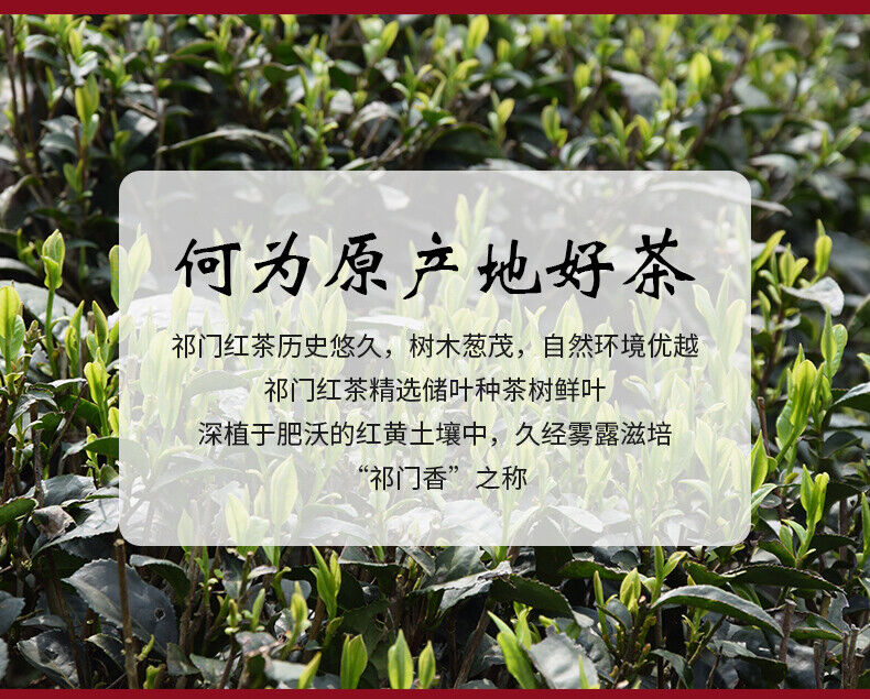 HelloYoung TeaChinese Keemun Black Tea 100g Anhui Premium Qimen Qi Men Gongfu Hong Cha
