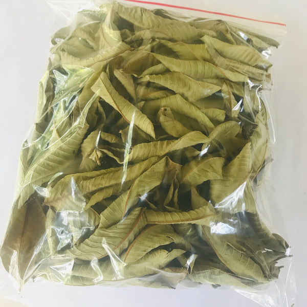 Premium Dried Guava Leaves - Hojas De Guayaba, 50g to 500g