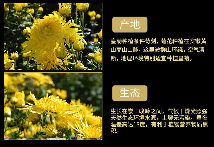 HelloYoung Chinese Chrysanthemum Tea Huangshan Golden Silk Chrysanthemum Blossom Tea 20g