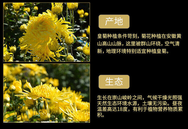 HelloYoung Chinese Chrysanthemum Tea Huangshan Golden Silk Chrysanthemum Blossom Tea 20g