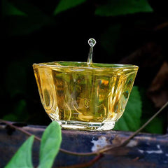 HelloYoung 200g Yiwu Puerh Tea Cake Luoshuidong Pu-erh Shengcha Natural Pu'er Green Tea