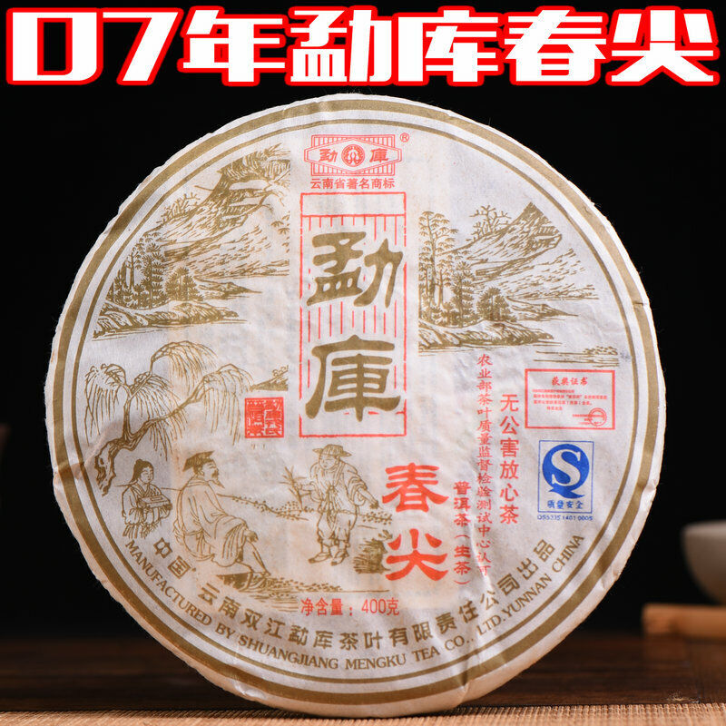 HelloYoung Spring Tip * 2007 Yunnan Mengku Rongshi Tea Pu Erh Puer Puerh Raw Shen Cha 400g