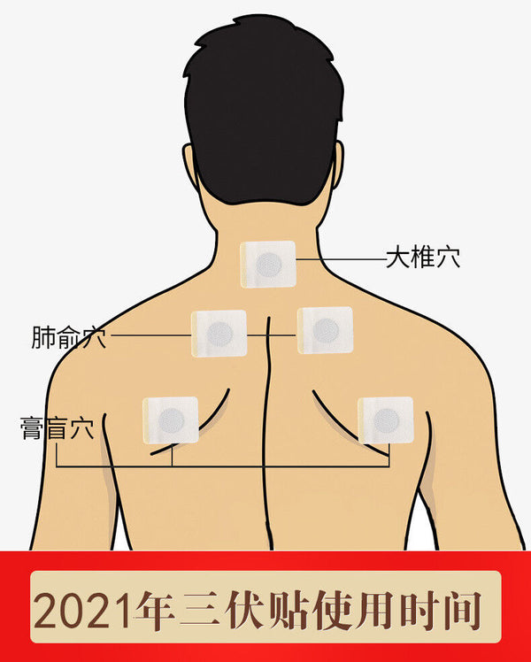HelloYoung Pack of 30 Wormwood Sanfu Paste Cervical Moxa Plaster Peking Sang Paste III