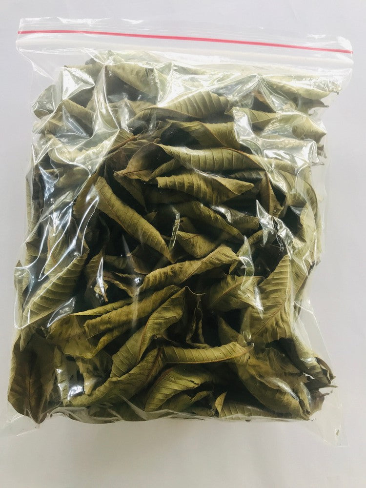 Premium Dried Guava Leaves Hojas De Guayaba Leaf 50 g-500 g
