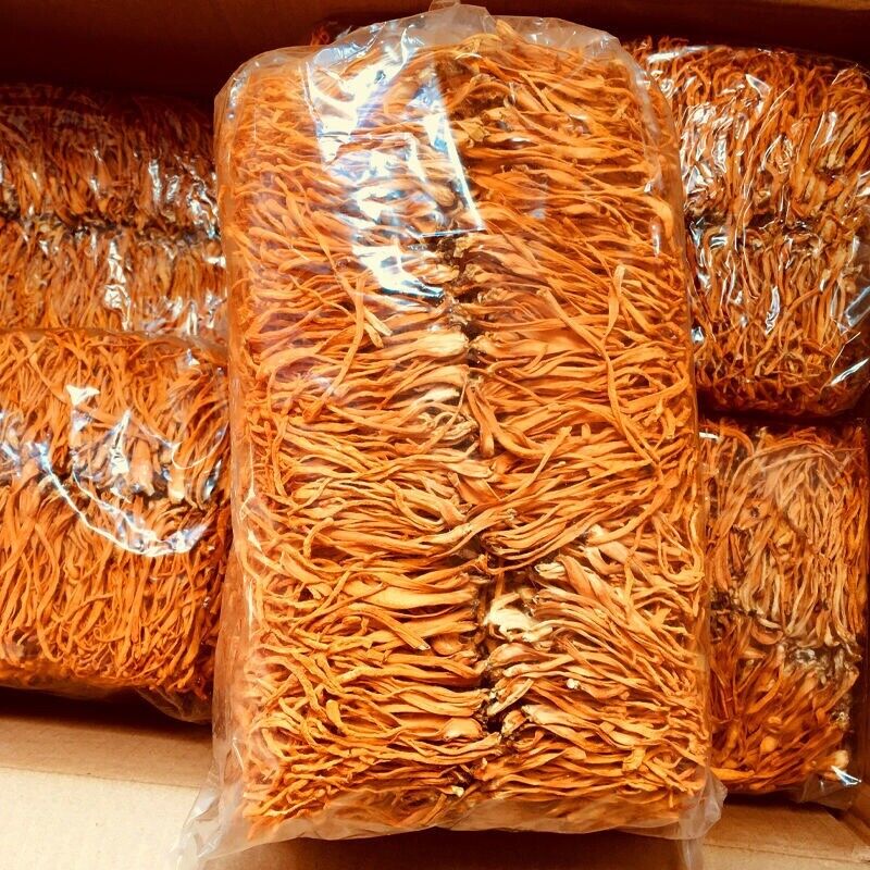 HelloYoung Organic Premium Super Mushroom Cordyceps Militaris Fungus Chong Cao Hua 500g Main image