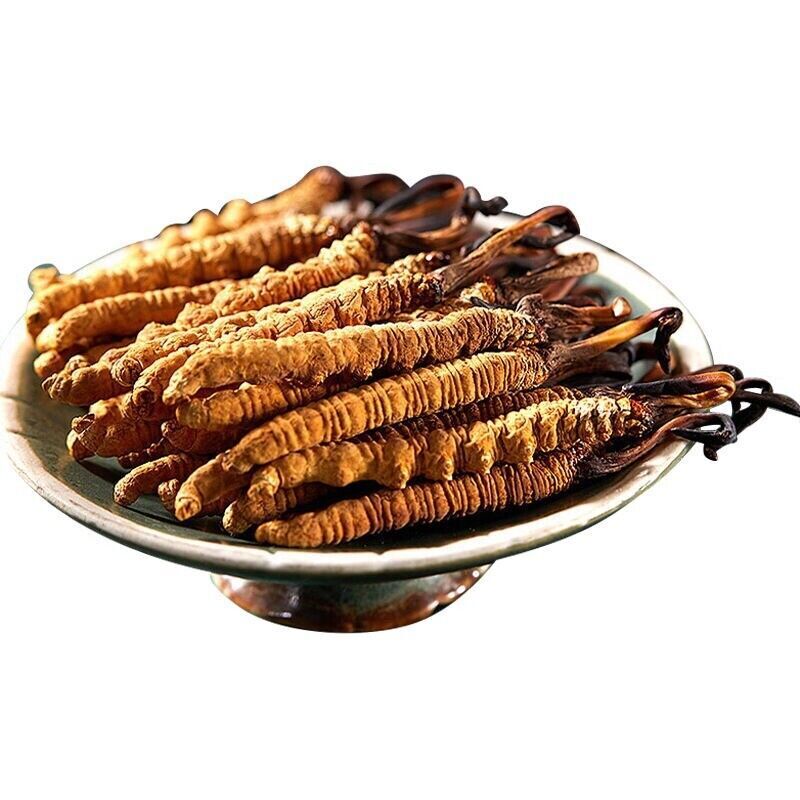 10 Pieces  Chinese Caterpillar Fungus Cordyceps Sinensis Wild Tibetan Aweto Main image