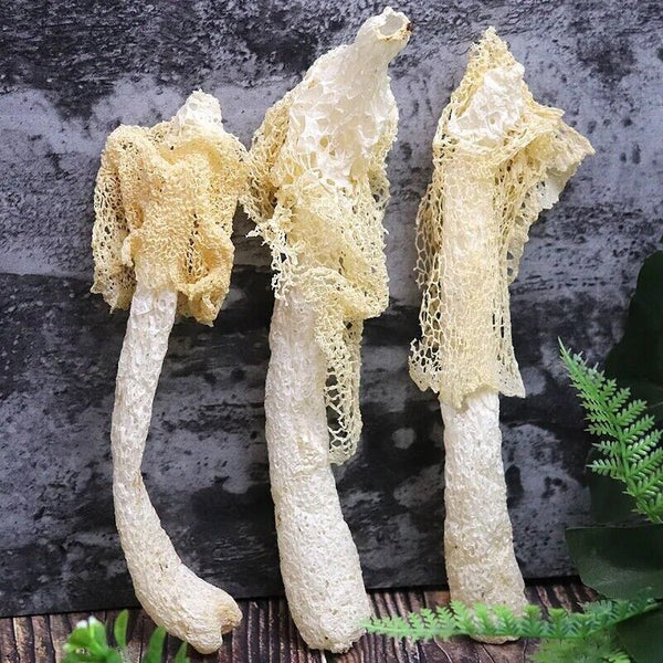 Phallus Indusiatus, Stinkhorn Fungus, Bamboo Fungus, 竹荪 Zhu Sun
