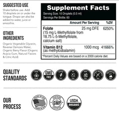 L Methyl Folate 15Mg plus Methyl B12 Cofactor
