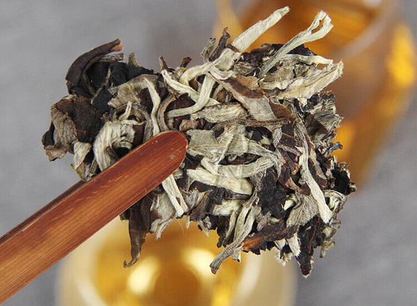 HelloYoung Organic Moonlight Beauty Jingmai Puer Pu'er Moonlight Puerh Raw Tea 357g/12.59oz