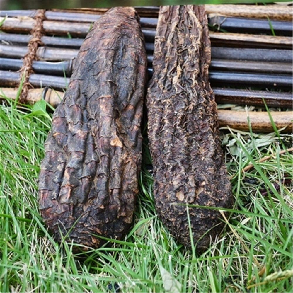HelloYoung Natural Sinkiang Wild Desert Life Avalanche Herb Tonic Rou Song Rong 17.6oz