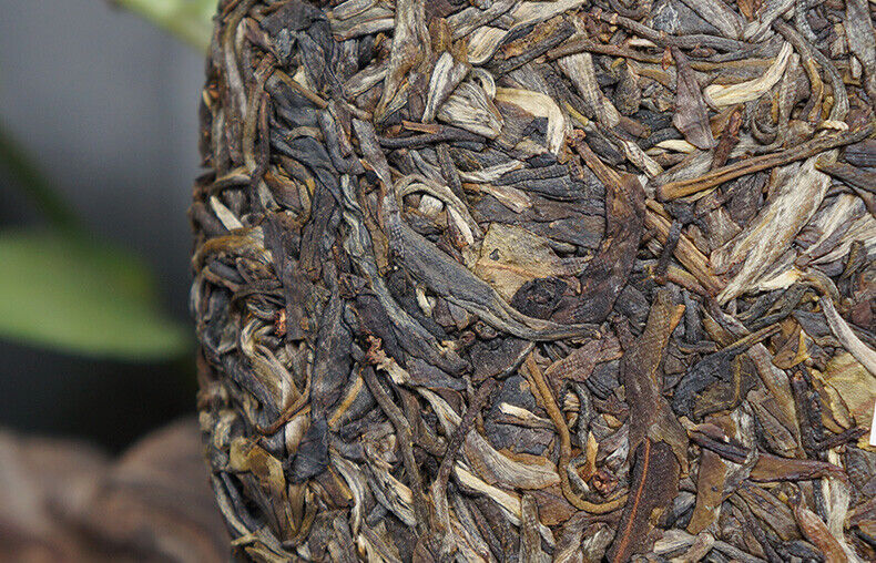 HelloYoung HAIWAN Brand Old Comrade Deep Mountain Old Tree Pu-erh Tea Cake 500g Raw