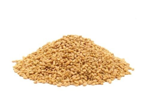 1 Pound Natural Fenugreek Seed Whole Indian Fenugreek Culinary & Botanical Main image