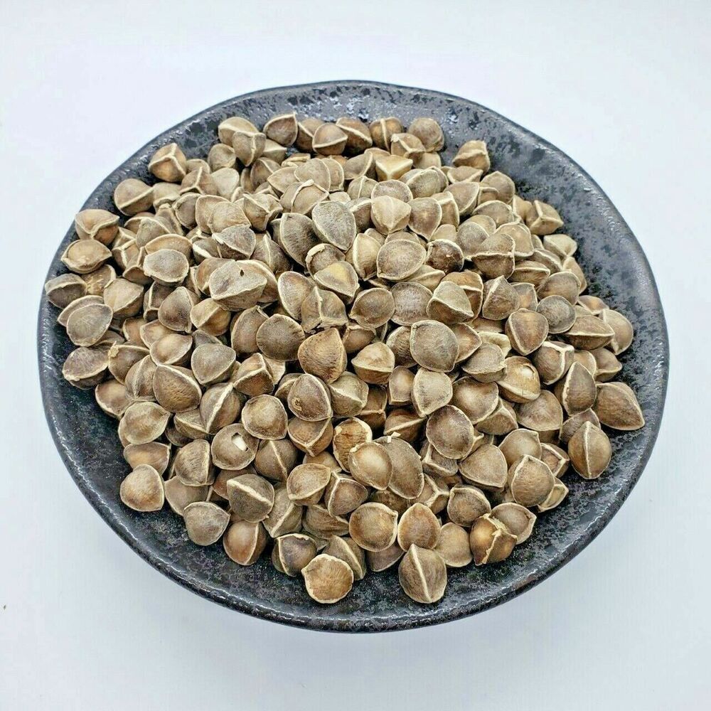 250g Chinese Herbal Moringa tree seeds 辣木籽 La Mu Zi Moringa oleifera Lam tea Secondary image
