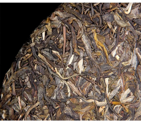 HelloYoung Haiwan Chinese Pu'er Tea Batch 191 Shen Shan Lao Shu Raw Puer Tea 500g