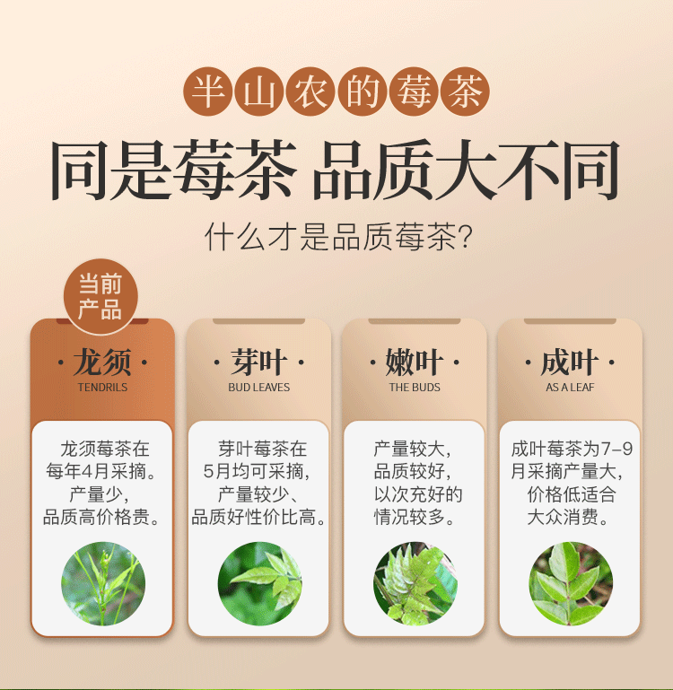 Premium Chinese tea,  Asparagus berry tea