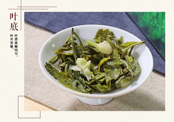 HelloYoung Chinese Jasmine Green Tea Natural Mo Li Yin Hao Jasmine Silver Buds Tea 150g
