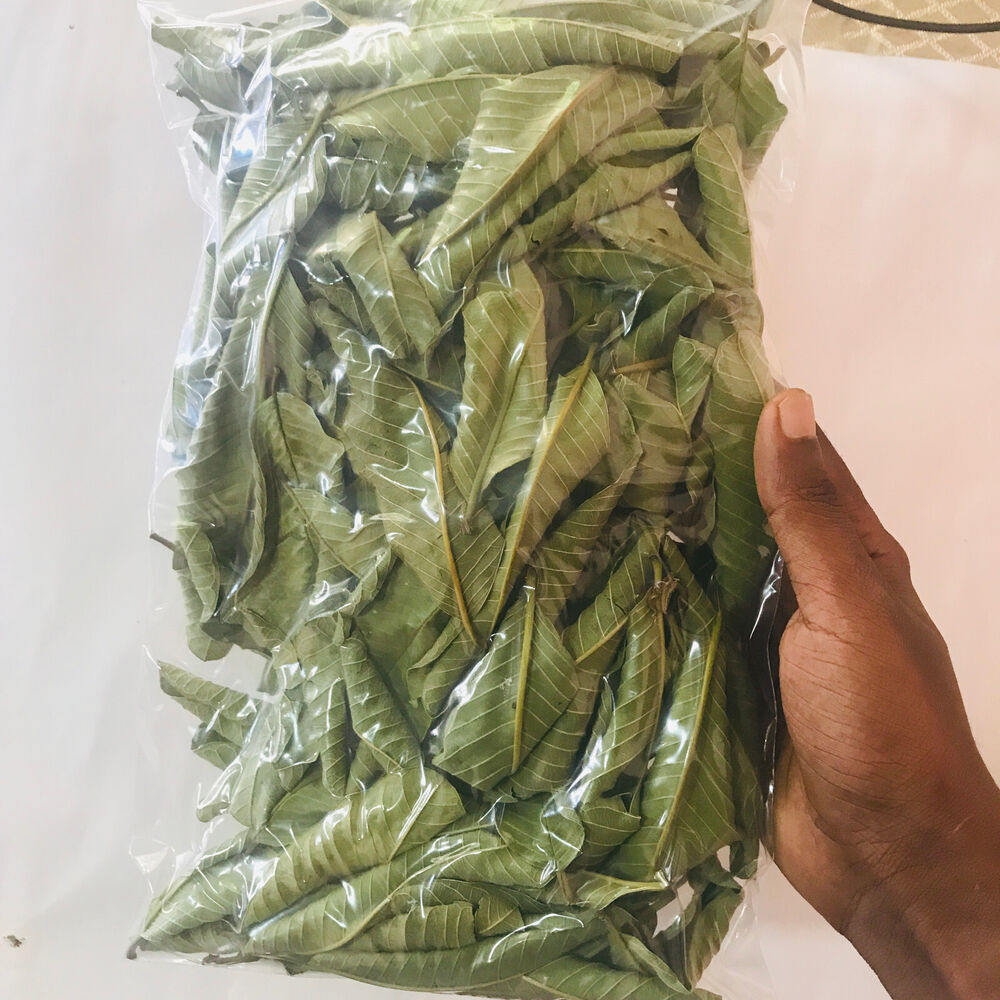 Premium Dried Guava Leaves Hojas De Guayaba Leaf 50 g-500 g