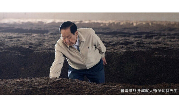 CHEN XIANG Mini Tuo Cha Haiwan Old Comrade Premium Puer Pu-erh Tea Ripe Pu'er