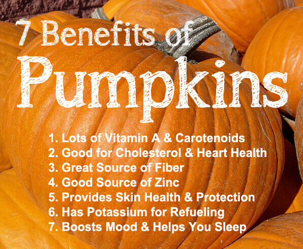 100% Organic Dried/dehydrated Pure Natural Pumpkin Powder Fruit & Vegeta Secondary image
