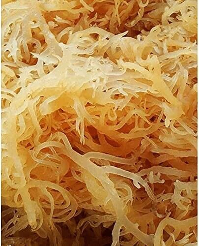 Organic Whole Leaf Irish Moss Sea Moss 8 Oz | Raw WildCrafted Superfood