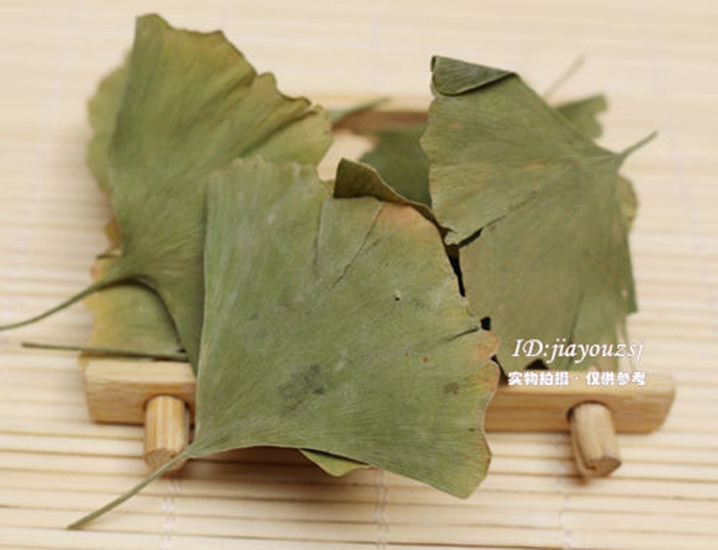 HelloYoung Dried Ginkgo Biloba Leaf Tea Health Pure Natural Anti-aging Green Chinese Herbal