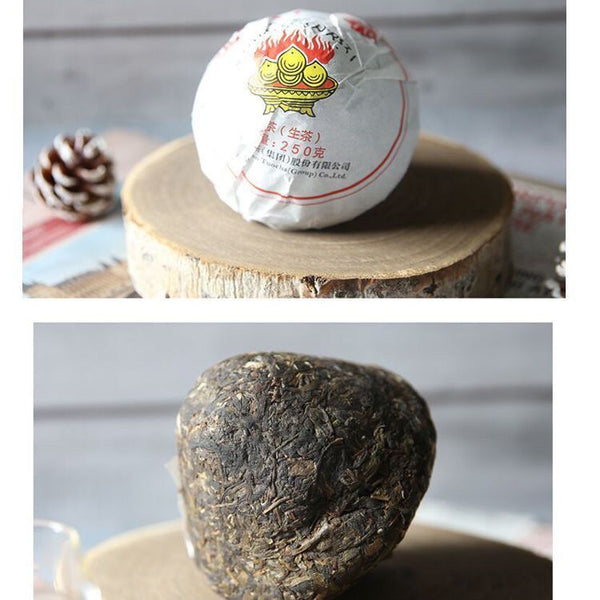 HelloYoung Yun Nan Jin Cha * Xiaguan Baoyan Toucha Raw Mushroom Tuo Puer Tea 250g