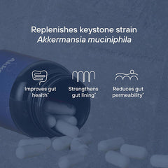New Formula Akkermansia Muciniphila Probiotic 30 Caps  Gut Health Support,