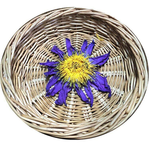 HelloYoung Dried Blue Lotus Flower Egyptian Lotus Natural Whole Flower Herbal Tea 50g