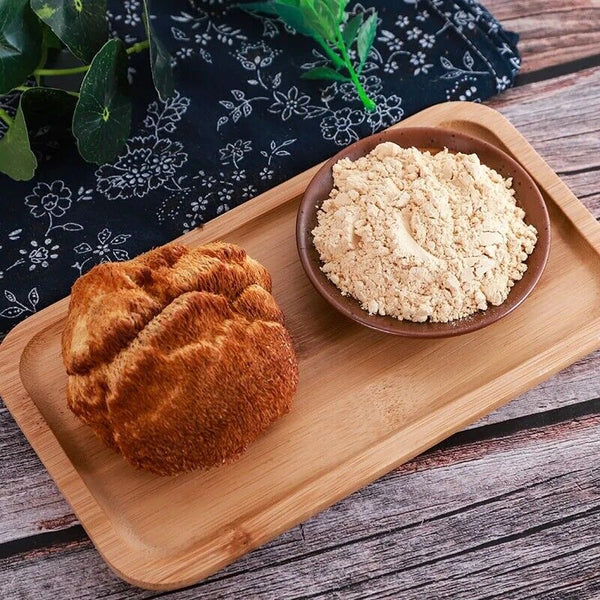 HelloYoung Lions Mane Mushroom Mycelium Powder Monkey Head Herbal 猴头菇粉