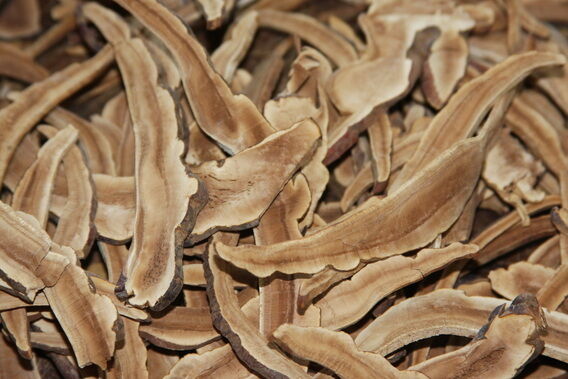 LINGZHI LING ZHI REISHI MUSHROOM SLICES DRIED GANODERMA LUCIDUM 8 OZ Secondary image