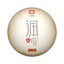 HelloYoung RUN PIN * Menghai Tea Factory Dayi Tea Puer Ripe Pu Er Shu Pu Erh 357g