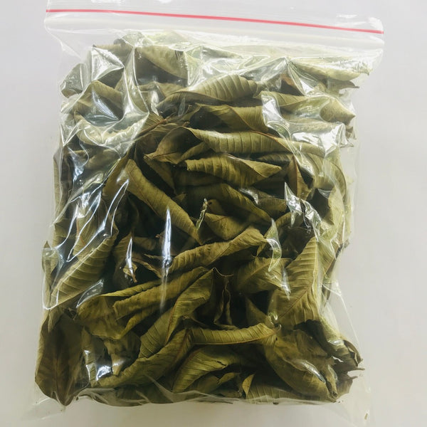Premium Dried Guava Leaves - Hojas De Guayaba, 50g to 500g