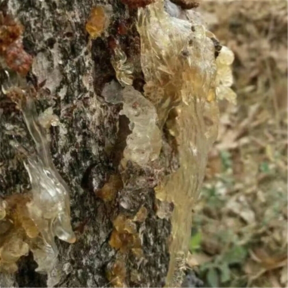 HelloYoung 100% Natural Dried Asian Cuisine Gum Tree Secretion Xueyan Xue Yan barn swallow Secondary image