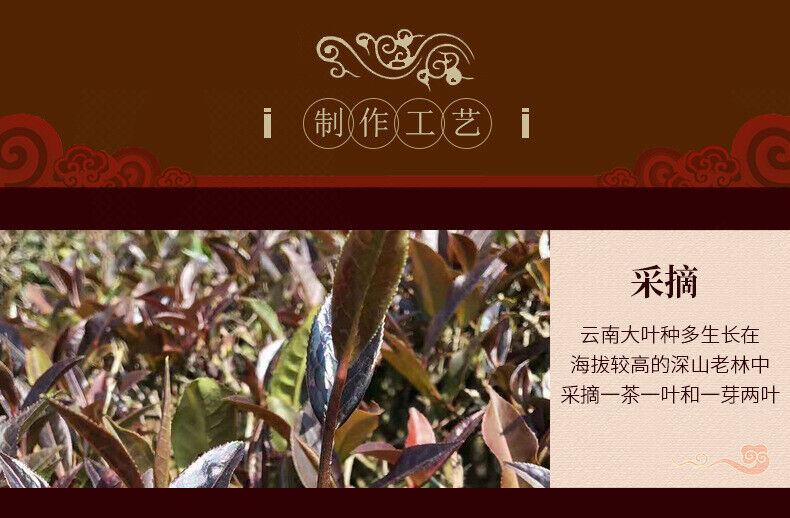 HelloYoung ZI JUAN Tea Yunya Purple Puer Tea Puwen Sheng PuEr Pu-erh Raw 200g